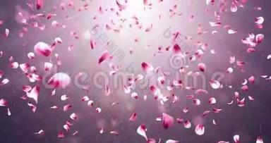 飞翔的浪漫红粉玫瑰樱花花花瓣飘落背景循环4k